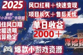 （15398期）日赚2000＋从零开始的财富逆袭实录，风口红利+快速变现