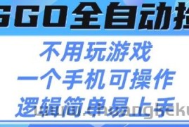 CSGO自动捡漏项目，最新独家玩法，不用挂G不用玩游戏，一个手机即可操作，新手小白轻松月入1W+【揭秘】