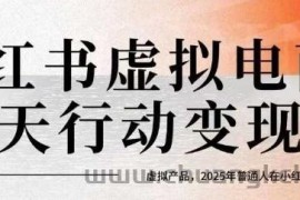 小红书虚拟电商14天变现训练营，虚拟产品，2025年普通人在小红书最后的搞钱机会（更新）