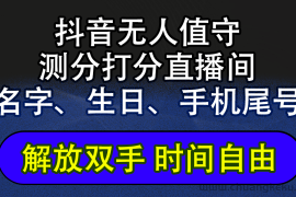 （12527期）抖音蓝海AI软件全自动实时互动无人直播非带货撸音浪，懒人主播福音，单…