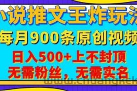 小说推文王炸玩法，一键代发，每月最多领900条原创视频，播放量收益日入5张，无需粉丝，无需实名【揭秘】