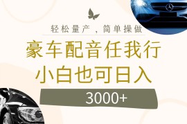 （12206期）不为人知的暴力小项目，豪车配音，日入3000+