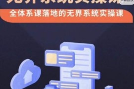 老衲·无界系统实操课，全体系落地无界改版后选择、出价、高投产做付费引流