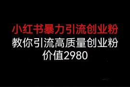 （6779期）小红书暴力引流创业粉，教你引流高质量创业粉，价值2980