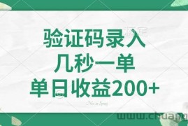 （14221期）验证码录入，几秒一单，单日收益200+