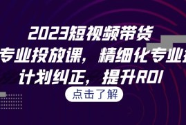 （7054期）2023短视频带货-千川专业投放课，精细化专业投放，计划纠正，提升ROI