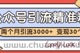 公众号精准粉引流玩法，2个月3000+精准粉，变现30个W【揭秘】