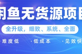 （1576期）闲鱼无货源项目：0基础玩转闲鱼价格差&amp;信息差，轻松月入过万元