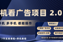 （10237期）手机看广告项目2.0，单机收益30+，提现秒到账可矩阵操作