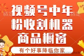 （10874期）【有个好事降临你家】-视频号最火赛道，商品橱窗，分成计划 条条爆