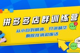 （4318期）拼多多店群训练营：从小白到精通，只讲精华，剔除推销和废话